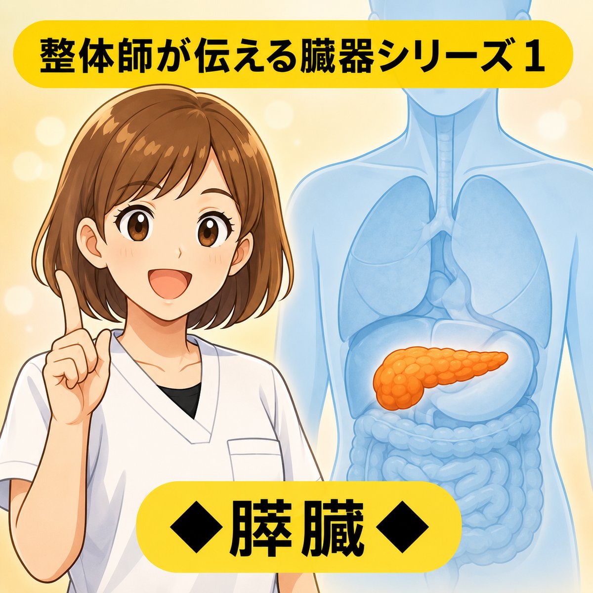 整体師が伝える臓器シリーズ Vol.1 膵臓 ─ 膵臓をやさしく解説するイラスト