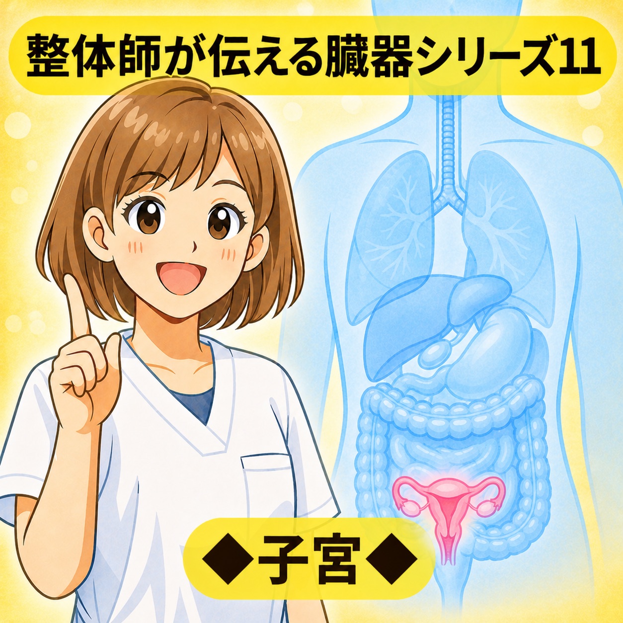 整体師が伝える臓器シリーズ Vol.11 子宮 ─ 子宮をやさしく解説するイラスト