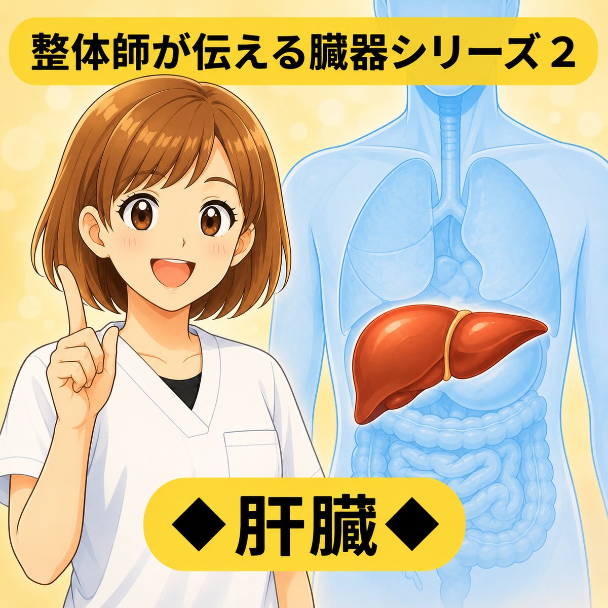整体師が伝える臓器シリーズ Vol.2 肝臓 ─ 肝臓をやさしく解説するイラスト
