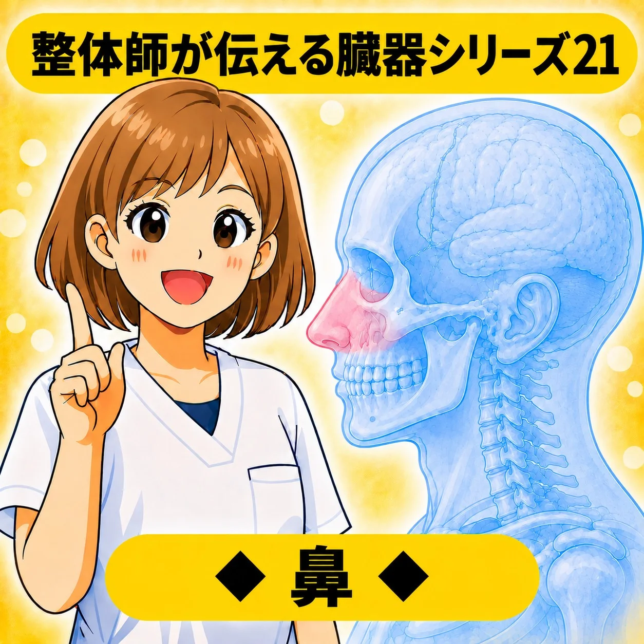 整体師が伝える臓器シリーズ Vol.21 鼻 ─ 鼻をやさしく解説するイラスト