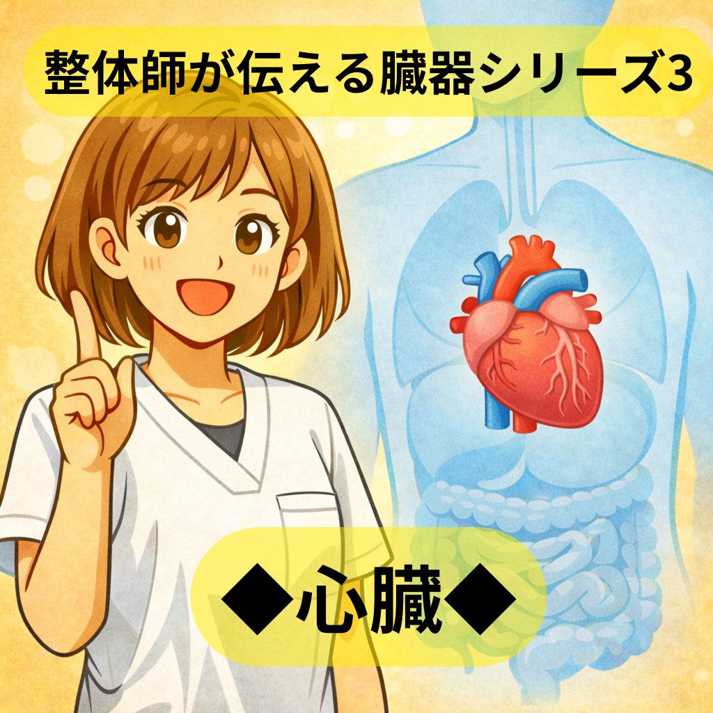 整体師が伝える臓器シリーズ Vol.3 心臓 ─ 心臓をやさしく解説するイラスト