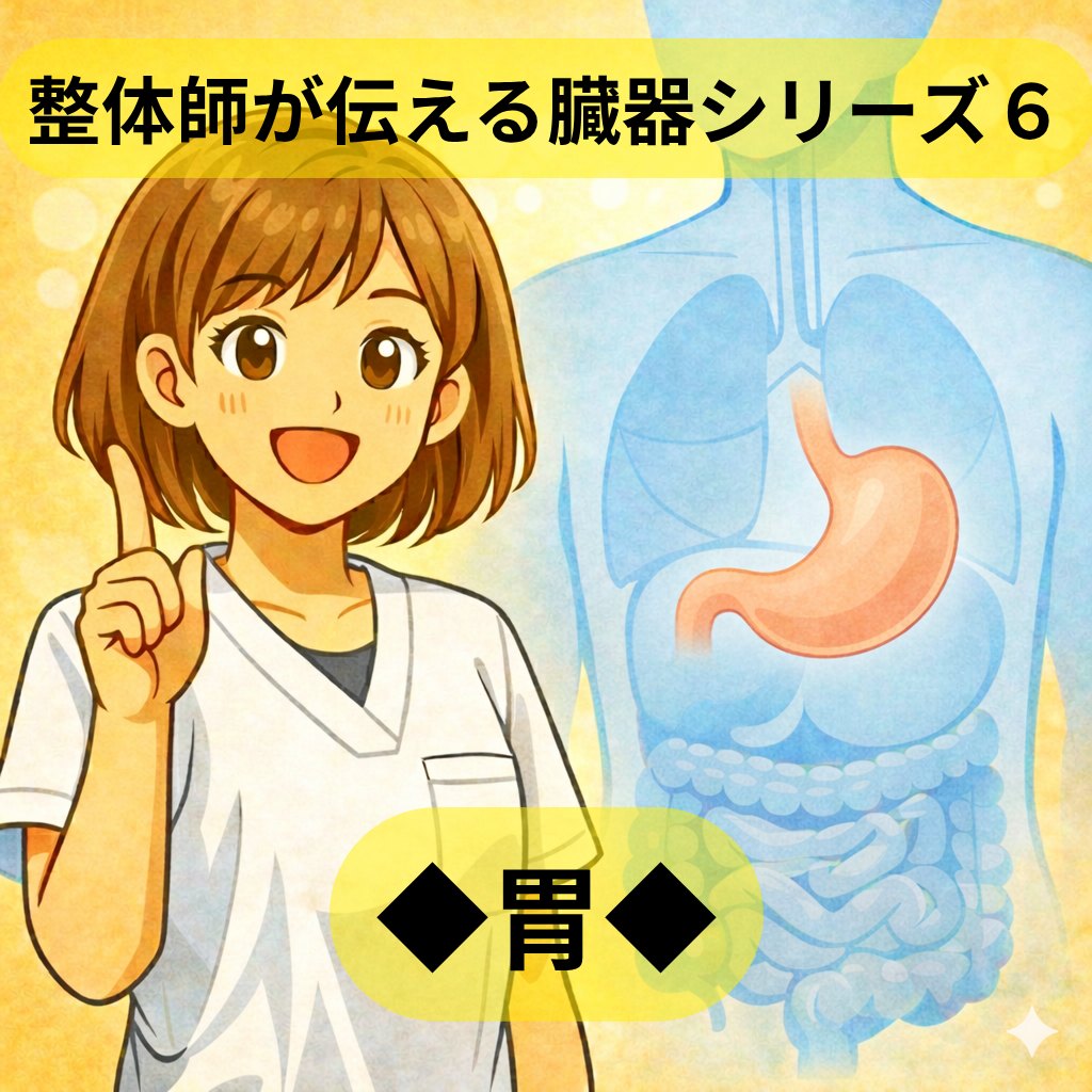 整体師が伝える臓器シリーズ Vol.6 胃 ─ 胃をやさしく解説するイラスト